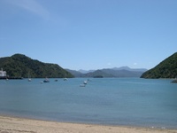 Highlight for Album: Wellington - Picton - Kaikoura